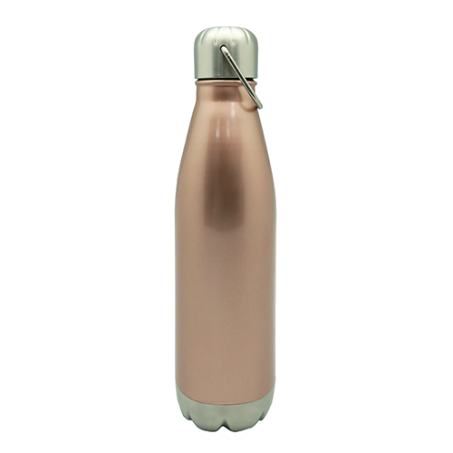 Stainless Steel Vacuum Sport Bottle With Handle 750ML