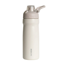 550ml Stainless Steel Thermal Water Bottle with Carry Handle