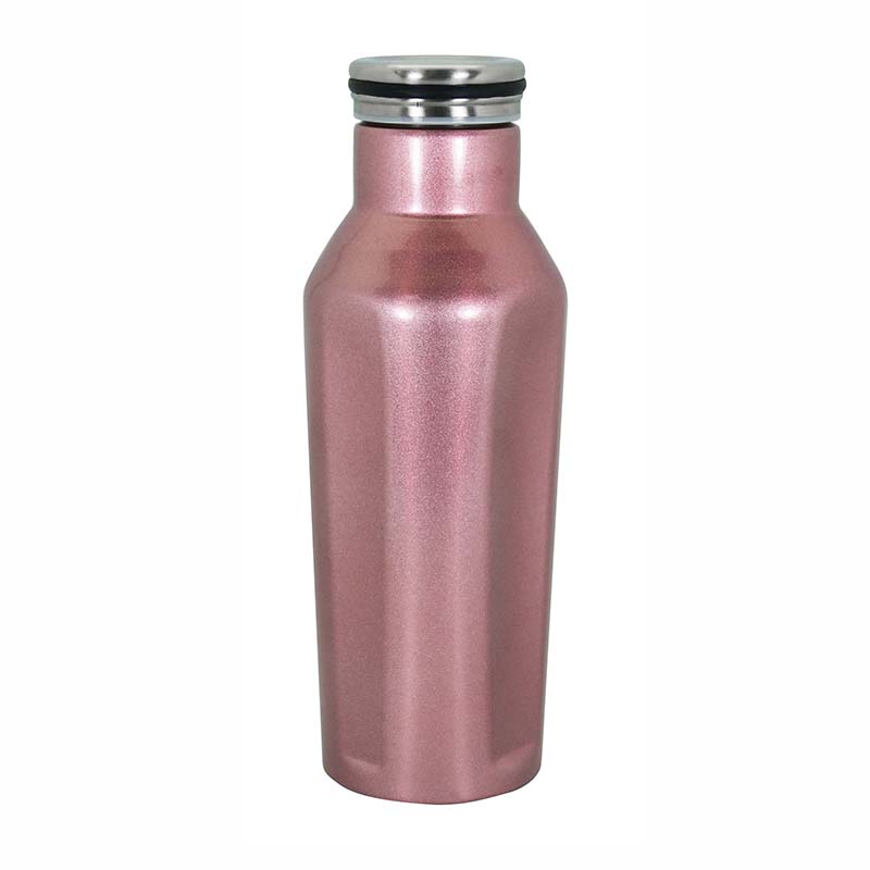 Stainless Steel Vacuum Water Bottle