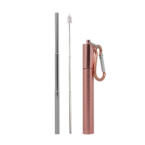 2 in 1 Telescopic Stainless Steel Straw