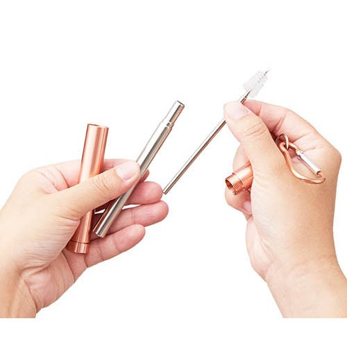 2 in 1 Telescopic Stainless Steel Straw