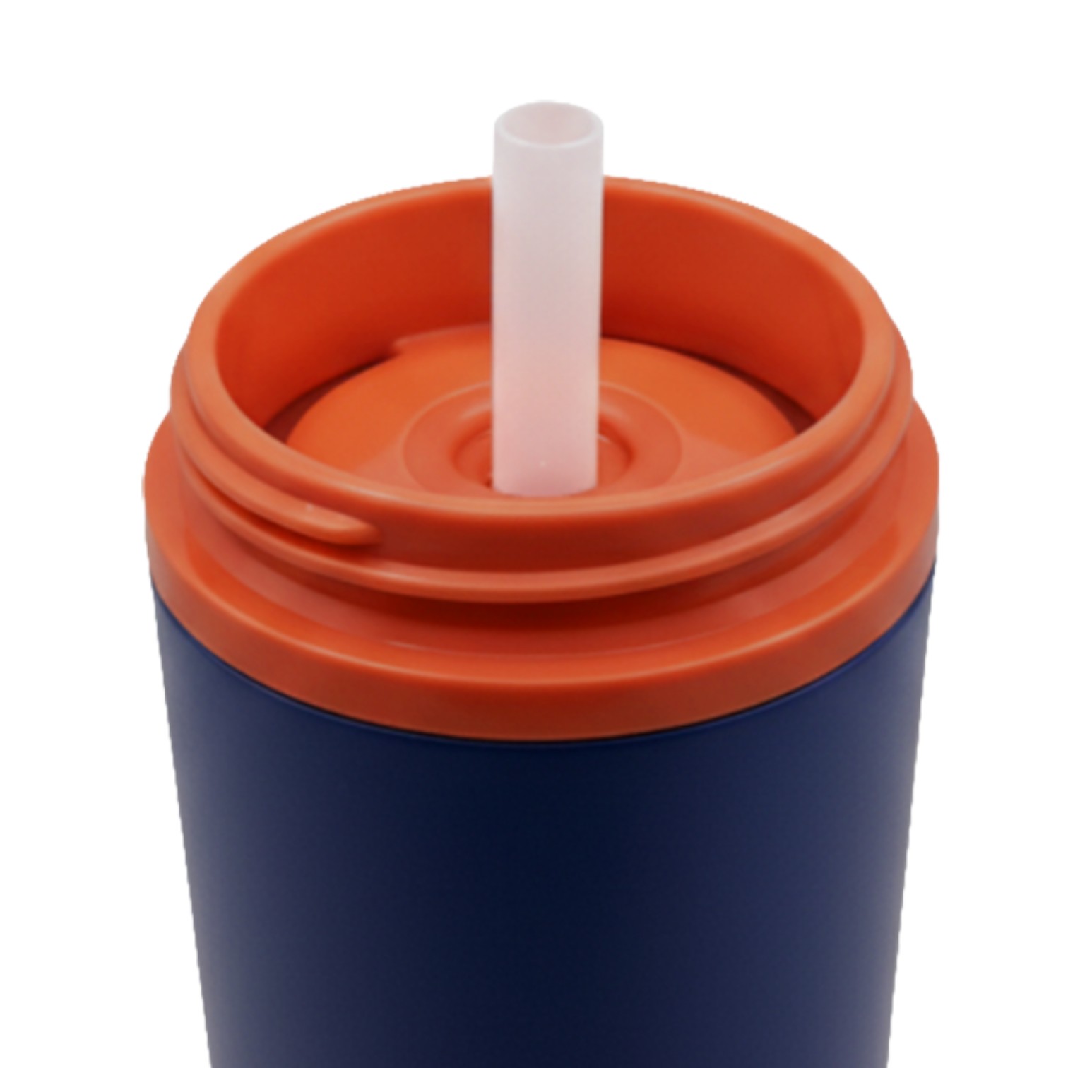 600ml Stainless Steel Vacuum Insulated Sports Bottle with Dual Drinking Lid